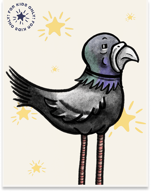 Lightcatchers Magazine